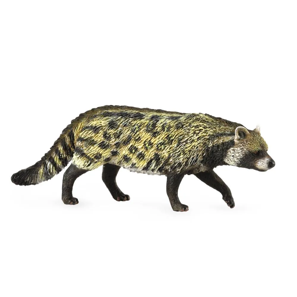 African Civet