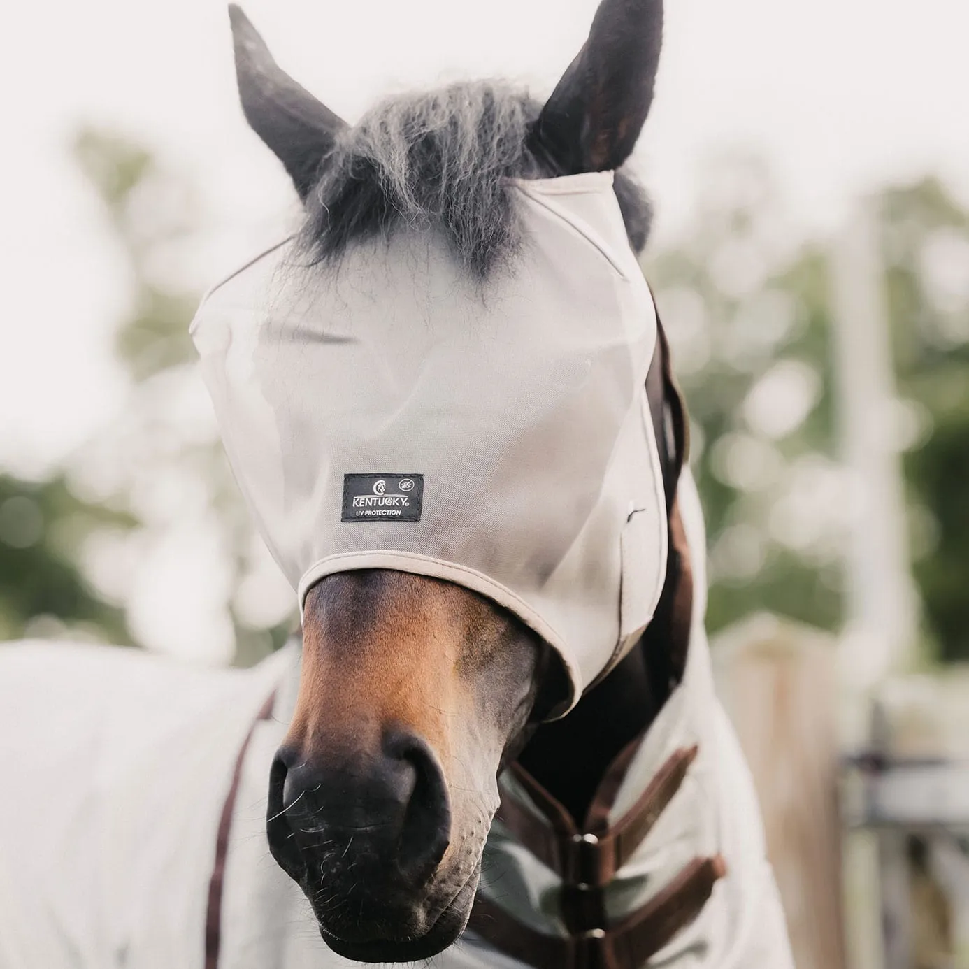 Kentucky Horsewear Fly Mask Classic - Beige