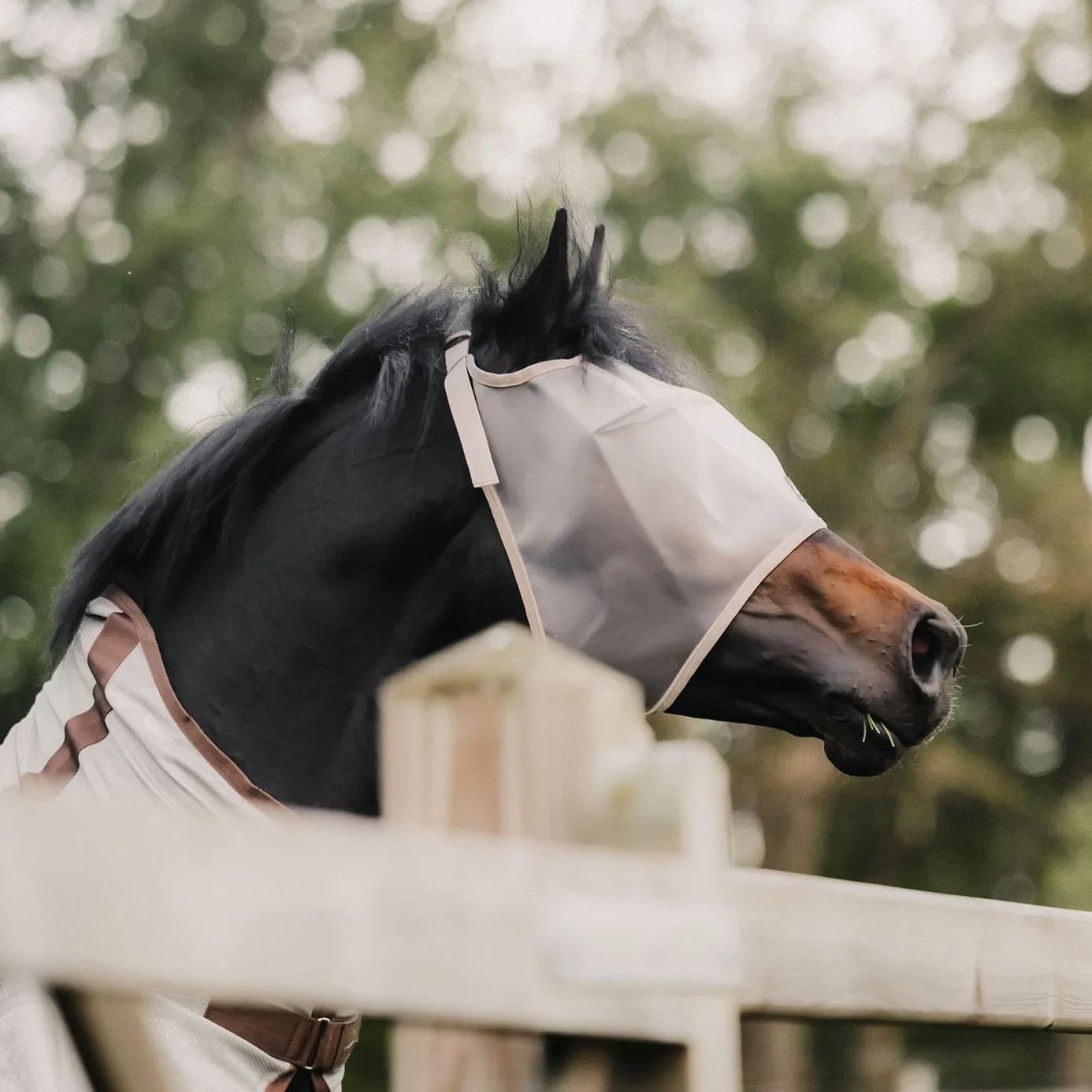 Kentucky Horsewear Fly Mask Classic - Beige