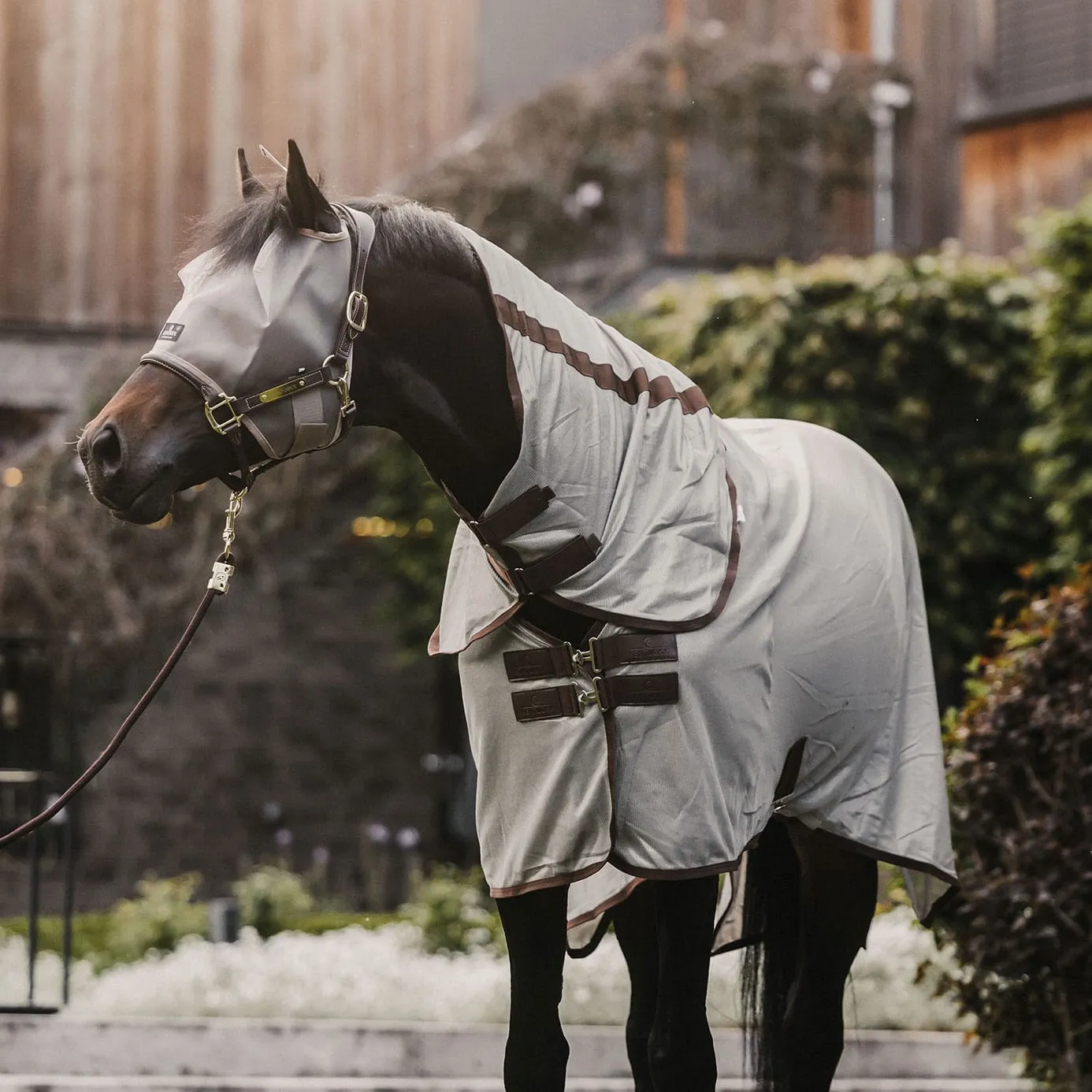 Kentucky Horsewear Fly Mask Classic - Beige