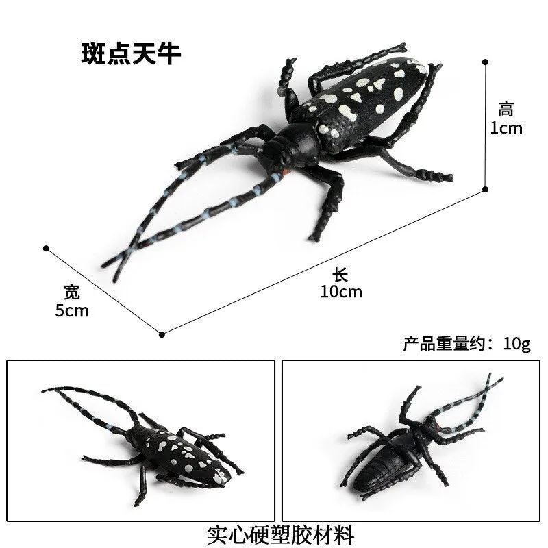 Simulated Insect Animal Figurine Model Spider Grasshopper Butterfly Snail Action Figure Scene Decoration Kids Collect Toys Gifts