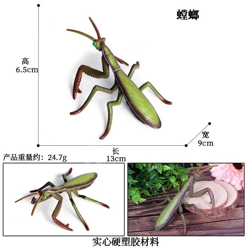 Simulated Insect Animal Figurine Model Spider Grasshopper Butterfly Snail Action Figure Scene Decoration Kids Collect Toys Gifts