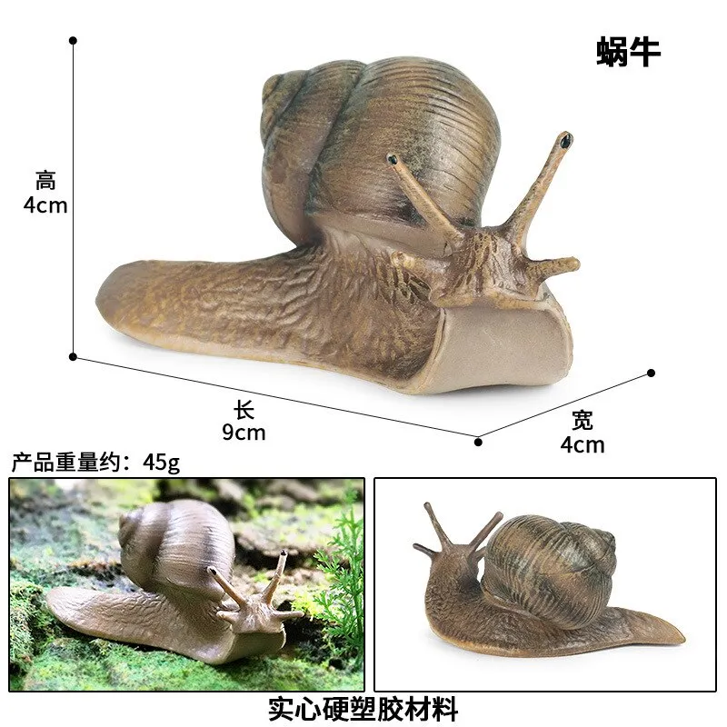 Simulated Insect Animal Figurine Model Spider Grasshopper Butterfly Snail Action Figure Scene Decoration Kids Collect Toys Gifts