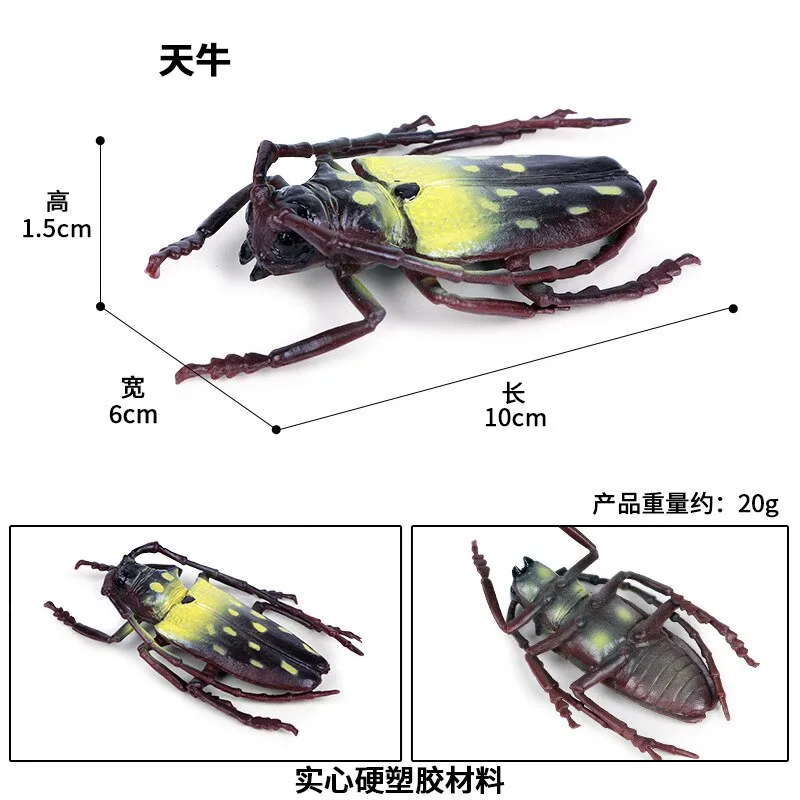 Simulated Insect Animal Figurine Model Spider Grasshopper Butterfly Snail Action Figure Scene Decoration Kids Collect Toys Gifts