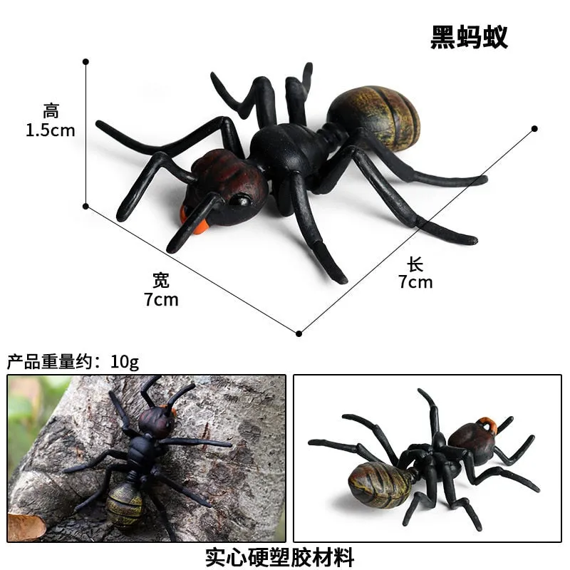 Simulated Insect Animal Figurine Model Spider Grasshopper Butterfly Snail Action Figure Scene Decoration Kids Collect Toys Gifts