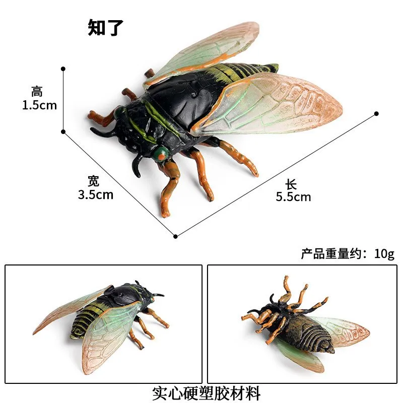 Simulated Insect Animal Figurine Model Spider Grasshopper Butterfly Snail Action Figure Scene Decoration Kids Collect Toys Gifts