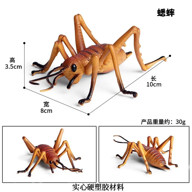 Simulated Insect Animal Figurine Model Spider Grasshopper Butterfly Snail Action Figure Scene Decoration Kids Collect Toys Gifts